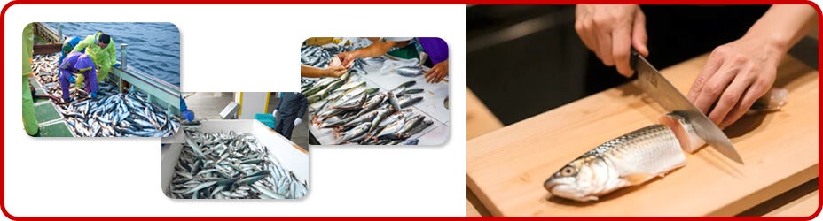 個人経営の飲食店に魚が届くまでの流通ルートとは