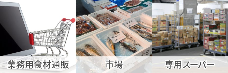 屋台でイカ焼きを売る場合の仕入れ方