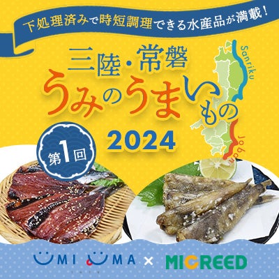 UMIUMA 2024 第1回