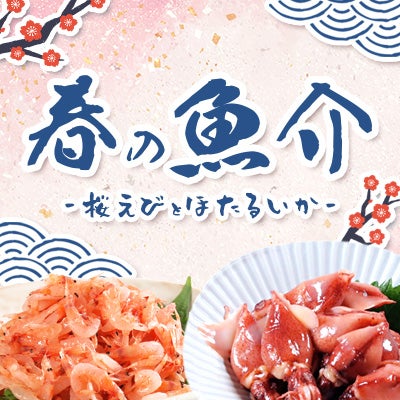 春の魚介　桜えびとほたるいか