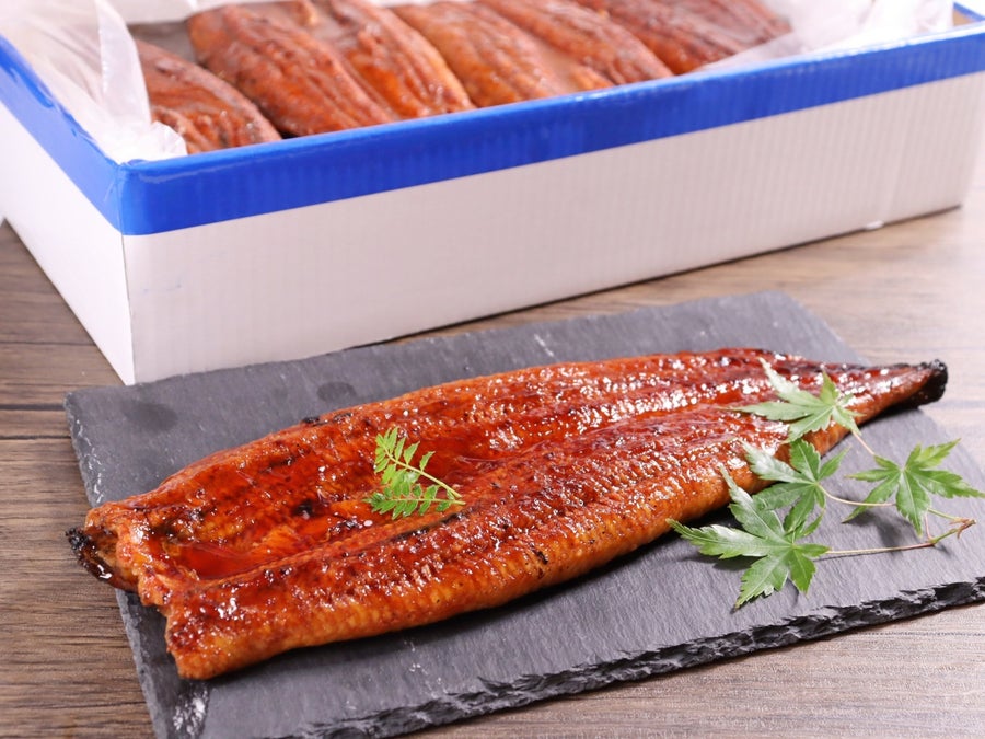 活〆うなぎを使った、特大サイズの見栄えのある長焼き
