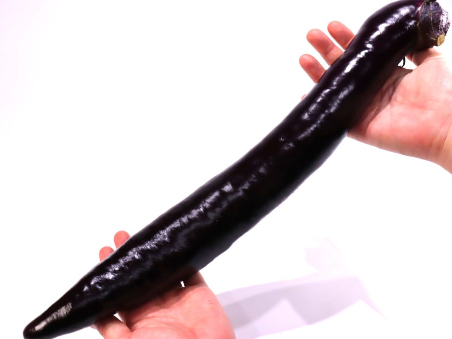 日本最大級のロングなすが登場！