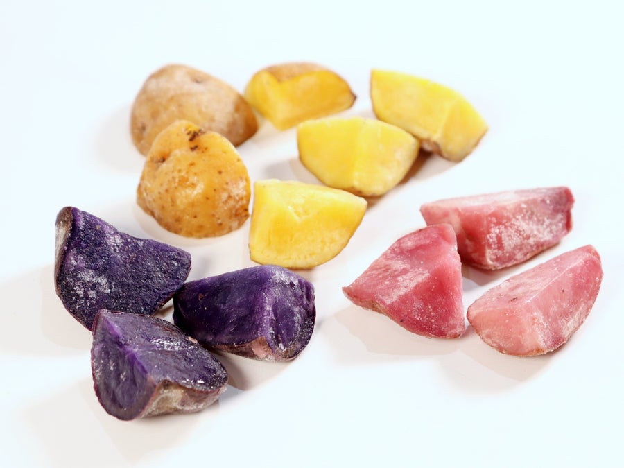 じゃがいもなのにこんなにカラフル