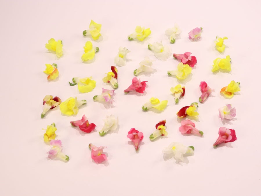 カラフルな花がたくさん詰まっています