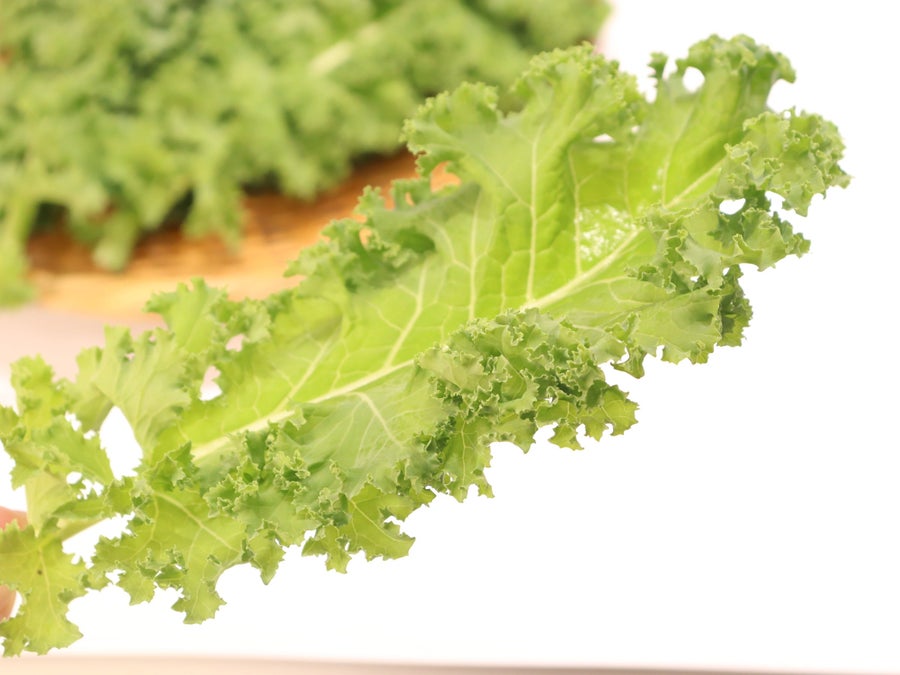 フリルの葉が特徴のケールです！