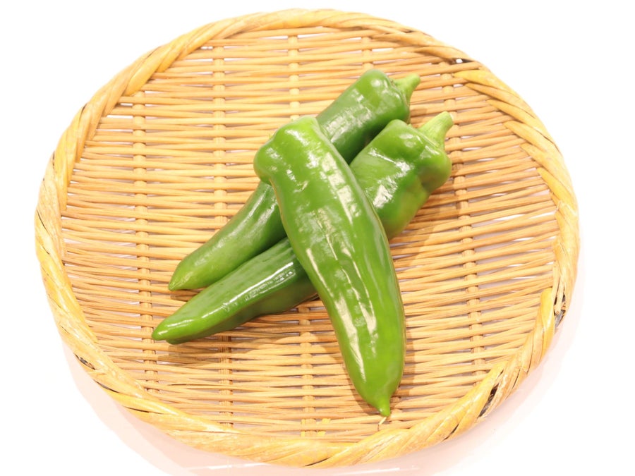 京都府舞鶴市が発祥の京野菜！