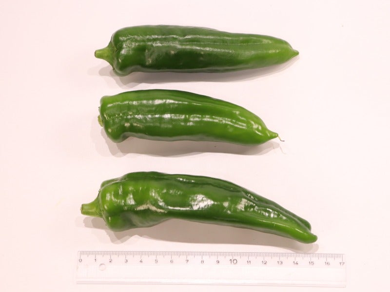 大きいので、1本で満足感があります。