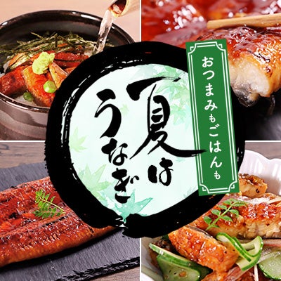 おつまみもごはんも 夏はうなぎ