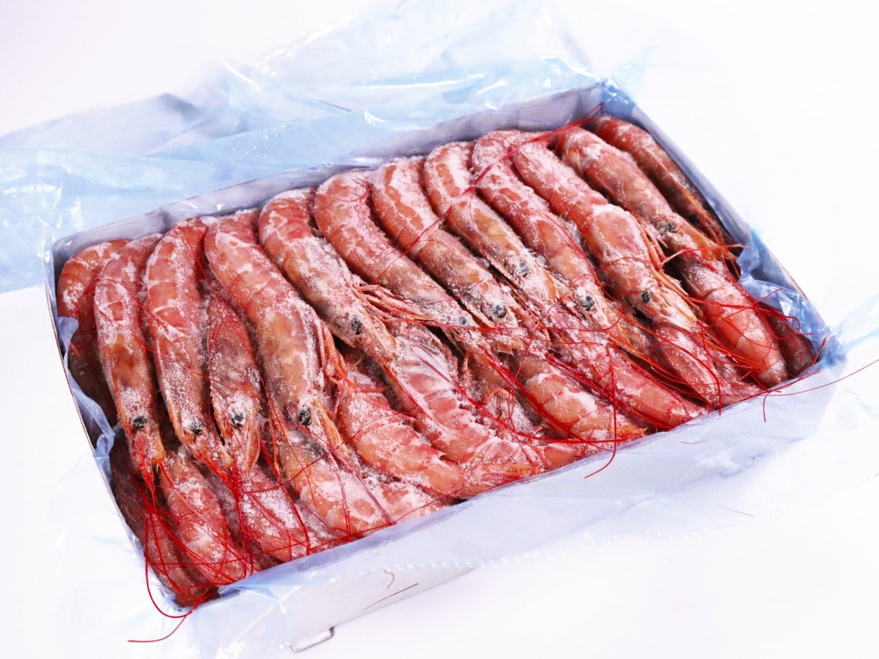 業務用 天然赤海老（有頭殻付）L2サイズ 2kg 冷凍｜業務用食品・食材や