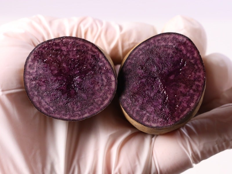 カットすると中身が紫色のじゃがいもです