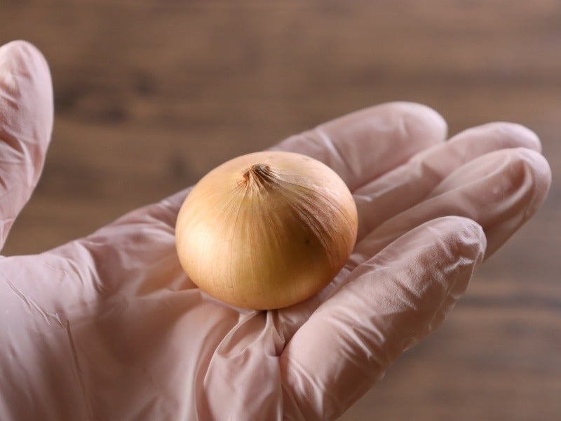 小さい見た目もかわいい！ペコロスです