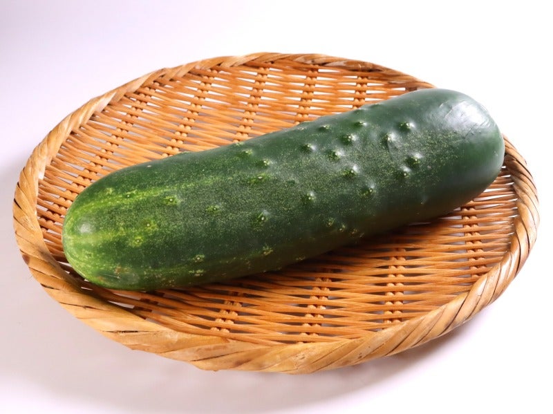 伝統的な加賀野菜、加賀太胡瓜です！