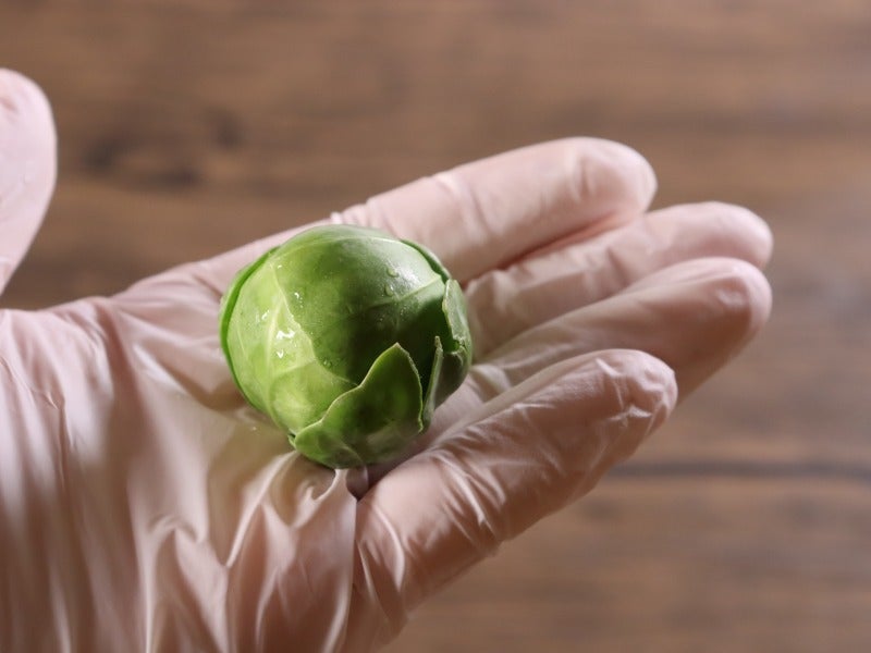 加熱すると甘味が増す！見た目も可愛らしい 芽キャベツ