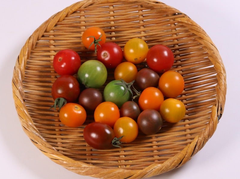 1つのパックに4色以上のミニトマト入り！