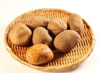 インカのめざめ