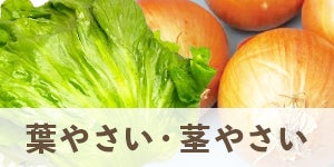 葉やさい・茎やさい