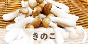 きのこ