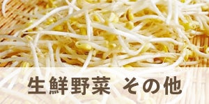 生鮮野菜 その他