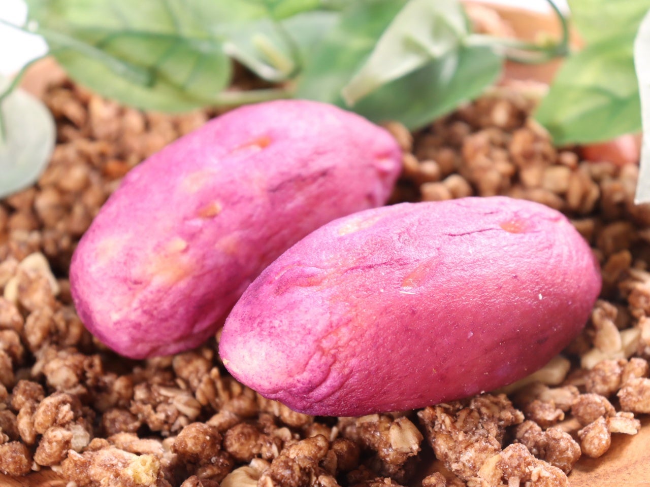 焼きいもパン（コグマパン） 14個