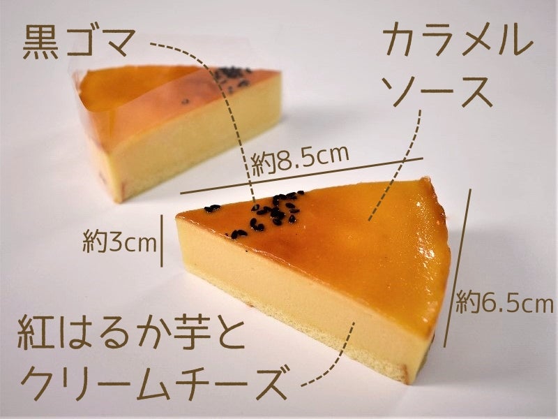 直径約6cm