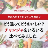 どう違ってどうおいしい？ チャンジャをいろいろ比べてみました。