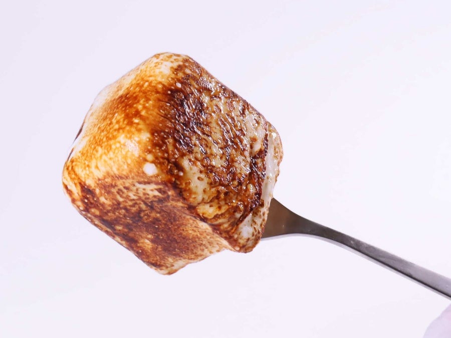 キャンプファイヤーの焼きマシュマロが圧倒的進化！
