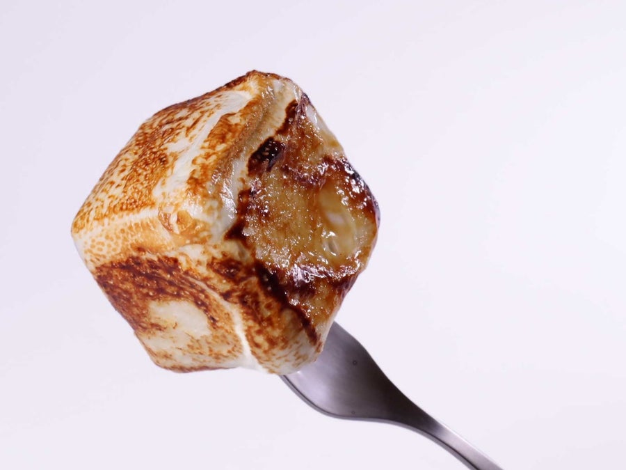 キャンプファイヤーの焼きマシュマロが圧倒的進化！