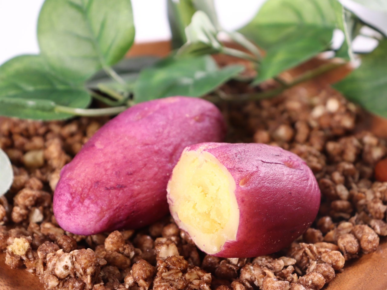 焼きいもパン(コグマパン) 14個