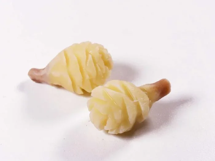 くわい松笠 50個