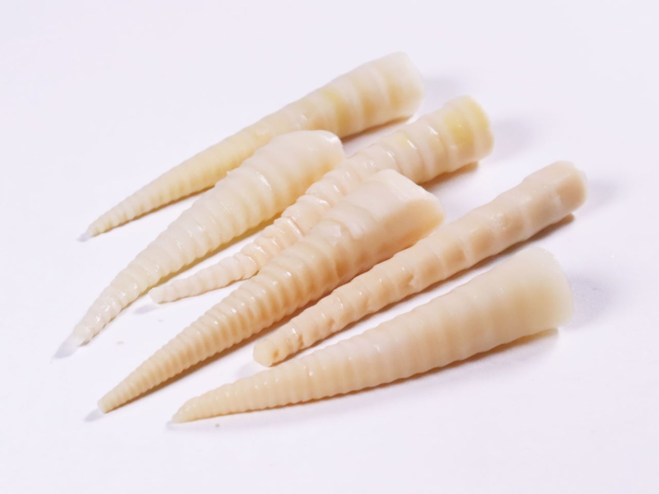 味付姫竹水煮 700g