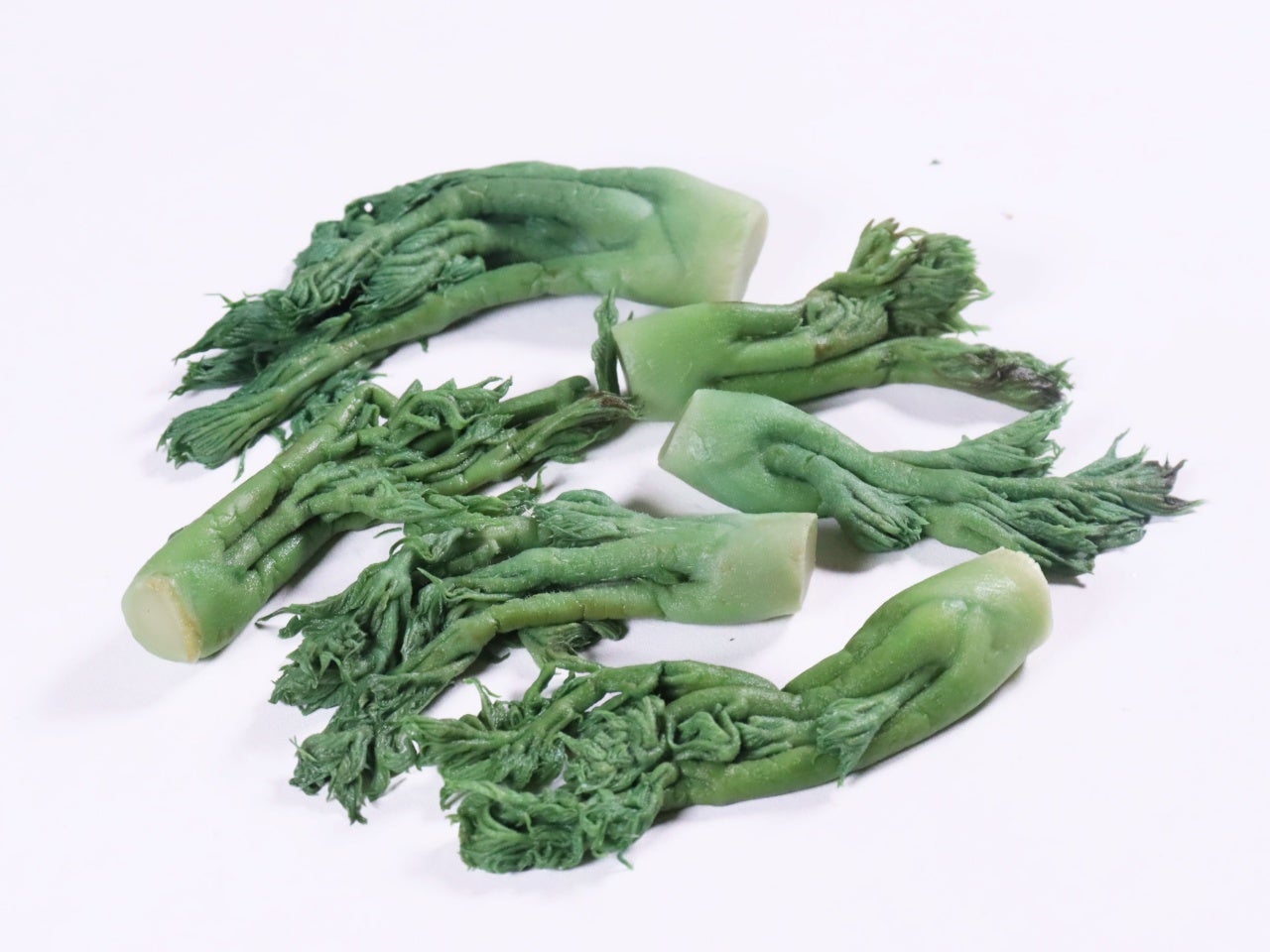 たらの芽水煮 700g