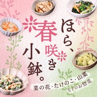 ほら、春咲き小鉢。