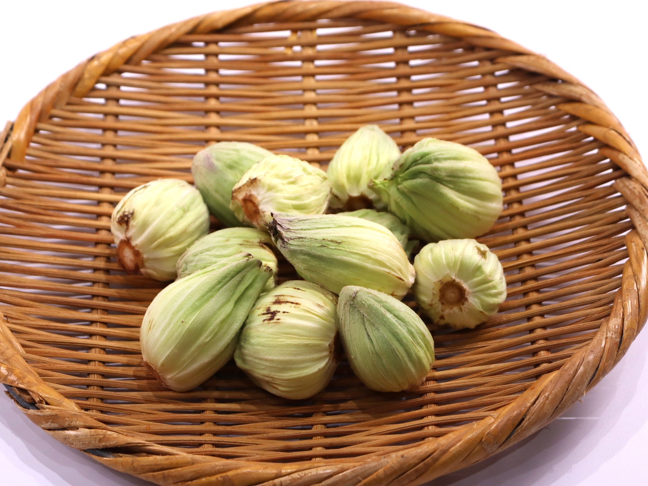 業務用 ふきのとう（約100g） 1パック チルド｜業務用食品・食材や