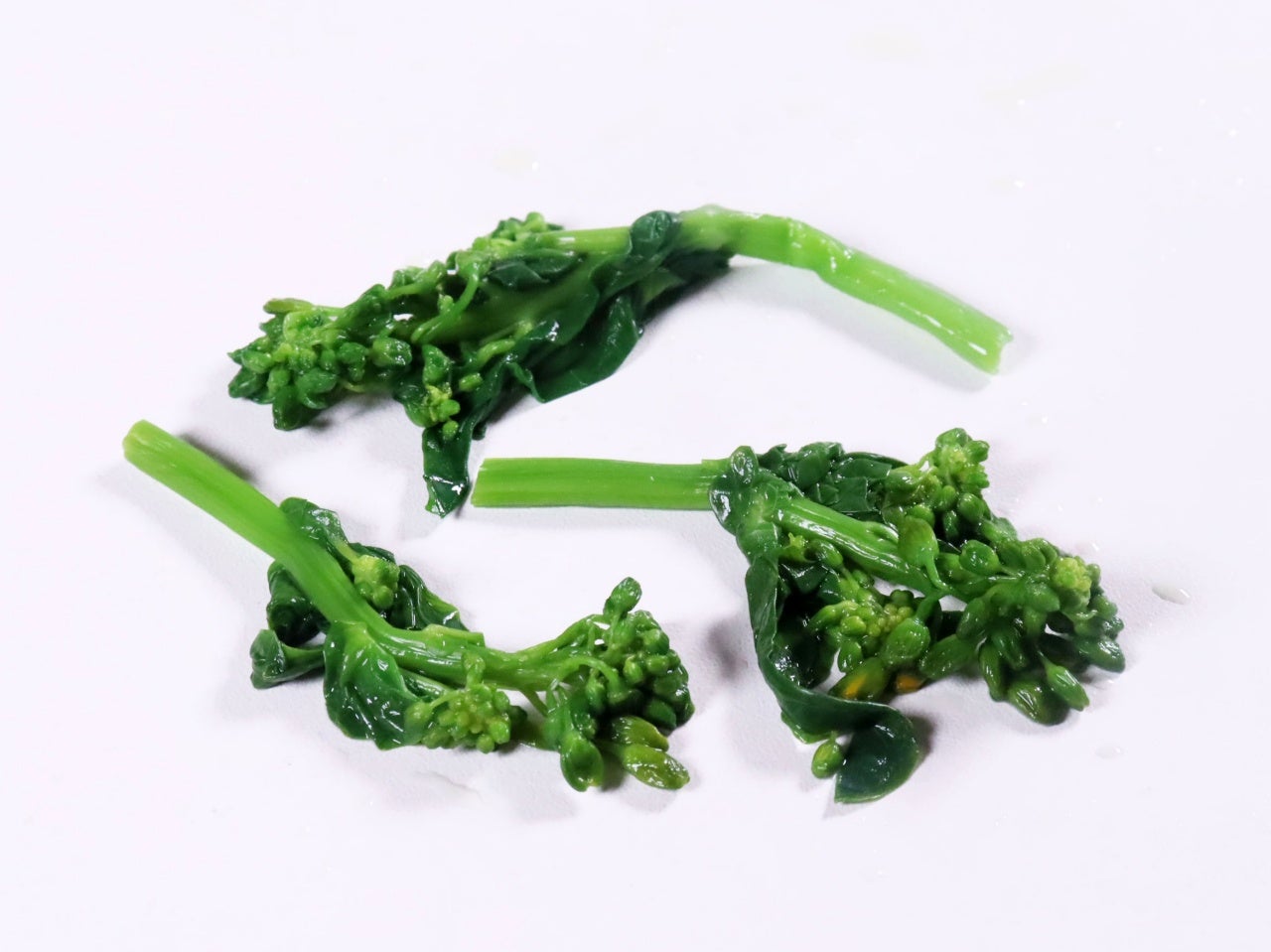 そのまま食べられる！国産穂先菜の花 500g