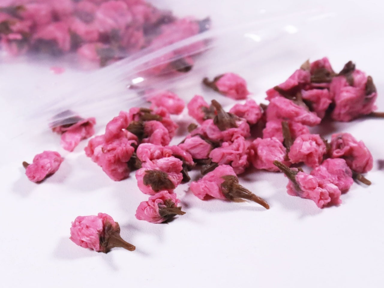 桜の花(塩抜き済み) 100個