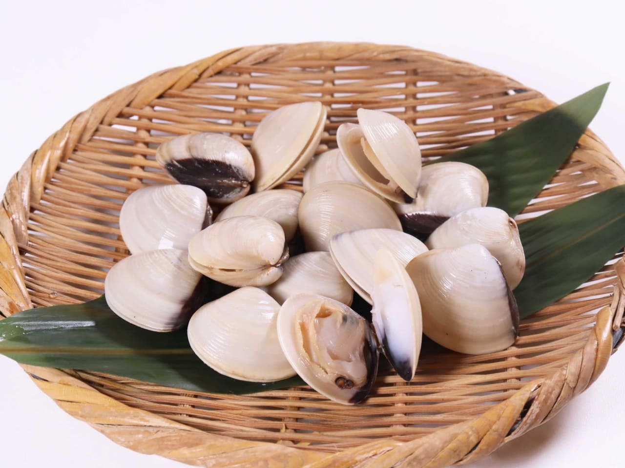 殻付き小はまぐり(ボイル) 500g