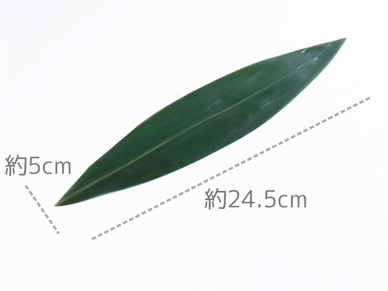 盛りつけべんり笹 100枚