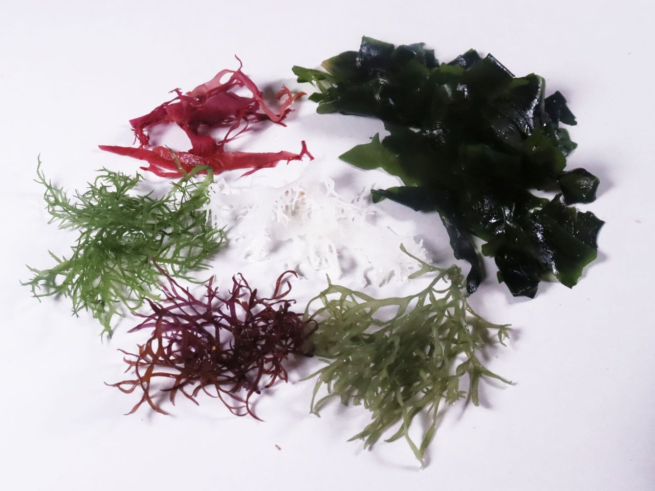 業務用 海藻サラダ（6種） 100g 常温｜業務用食品・食材や冷凍食品の
