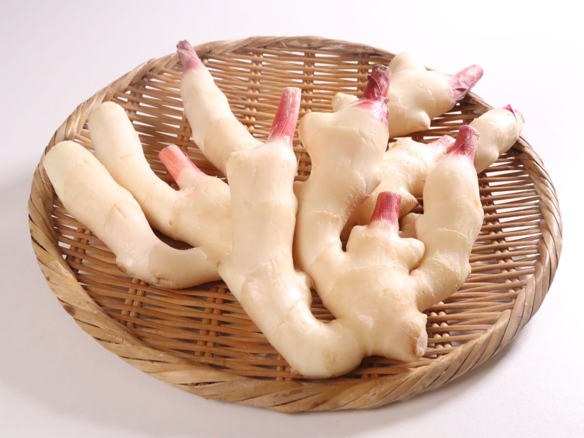 みずみずしい新生姜