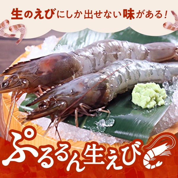 ぷるるん生えび