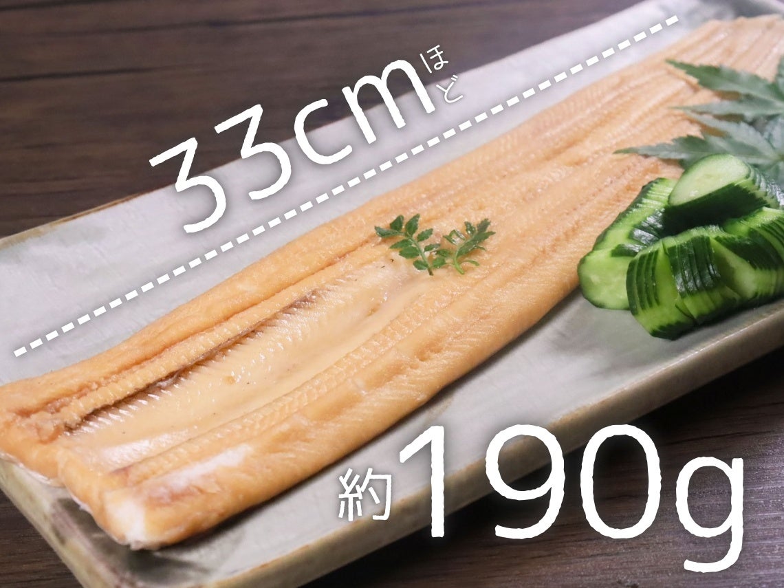 活〆特大煮あなご 1尾