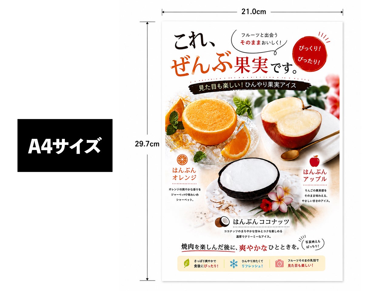 A4サイズイメージ